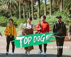 黑莓视频《TOP DOG》免费在线观看