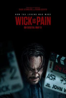 黑莓视频《疾速剧痛 Wick Is Pain》免费在线观看